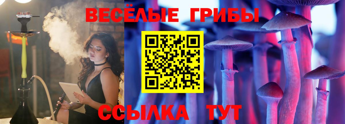 Галлюциногенные грибы Psilocybe  Вход с VPN  Дмитров 